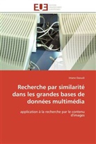 Imane Daoudi, Daoudi-i - Recherche par similarite dans les