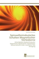 Matthias Kammerer - Spinwelleninduziertes Schalten Magnetischer Vortexkerne