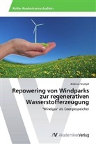 Andreas Stampfl - Repowering von Windparks zur regenerativen Wasserstofferzeugung
