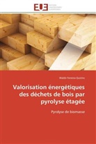 Waldir Ferreira Quirino, Quirino-W - Valorisation energetiques des