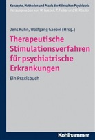 Professor Dr Wolfgang Gaebel, Prof Dr Jen Kuhn, Peter Falkai u a, Gaebe, Wolfgan Gaebel, Wolfgang Gaebel... - Therapeutische Stimulationsverfahren für psychiatrische Erkrankungen