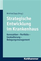Pro Dr Winfried Zapp, Winfrie Zapp, Winfried Zapp - Strategische Entwicklung im Krankenhaus