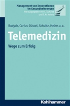 Karolin Budych, Karolina Budych, Christin Carius-Düssel, Christine Carius-Düssel, Johannes Dehm, Thomas M. Helms... - Telemedizin