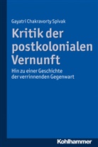 Gayatri C Spivak, Gayatri Ch. Spivak, Gayatri Chakravorty Spivak, Prof Dr Gayatri Chakravorty Spivak, Feldman, Feldmann... - Kritik der postkolonialen Vernunft