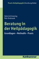 GREVIN, Heinrich Greving, Ondracek, Petr Ondracek, Heinric Greving, Heinrich Greving - Beratung in der Heilpädagogik