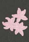 Tyndale House Publishers (COR), Tyndale, Tyndale House Publishers - Holy Bible