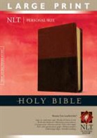 Tyndale House Publishers (COR), Tyndale, Tyndale House Publishers - Holy Bible