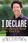Joel Osteen, Osteen Joel - I Declare
