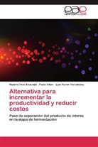 Luis Hernández, Luis Yunier Hernández, Ruden Velo Alvarado, Rudens Velo Alvarado, Pabl Vitón, Pablo Vitón - Alternativa para incrementar la productividad y reducir costos