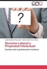 Lisett Daymari Páez Cuba, Lisett Daymaris Páez Cuba, Carlos Ces Torres Paez, Carlos Cesar Torres Paez - Derecho Laboral y Propiedad Intelectual