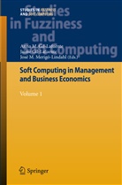 Anna M. Gil-Lafuente, Anna Maria Gil-Lafuente, Jaim Gil-Lafuente, Jaime Gil-Lafuente, Ana Maria Gil Lafuente, Jaime Gil Lafuente... - Soft Computing in Management and Business Economics. Vol.1