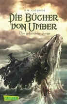 P W Catanese, P. W. Catanese, Paul W. Catanese - Die Bücher von Umber - Der gefundene Junge