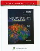 Bear, Mark Bear, Mark F. Bear, Mark F. Connors Bear, Barry Connors, Barry W. Connors... - Neuroscience