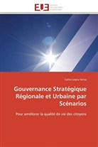 Carlos Legna Verna, Verna-c - Gouvernance strategique regionale