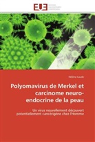 Hélène Laude, Laude-H - Polyomavirus de merkel et