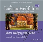 Elisabeth Böhm, Hans-Jürgen Schatz, Gerhard K. Englert - Der Literatur(ver)führer - 2: Johann Wolfgang von Goethe, 3 Audio-CDs (Hörbuch)