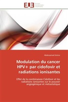 Abdessamad Amine, Amine-A - Modulation du cancer hpv+ par
