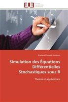 Arsalane Chouaib Guidoum, Guidoum-A - Simulation des equations
