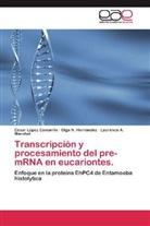 Olga Hernández, Olga N Hernández, Olga N. Hernández, Césa López Camarillo, César López Camarillo, Marchat... - Transcripción y procesamiento del pre-mRNA en eucariontes.