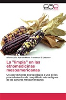 Alfonso J. Aparicio Mena, Alfonso Juli Aparicio Mena, Alfonso Julio Aparicio Mena, Francesc Di Ludovico, Francesco Di Ludovico - La "limpia" en las etnomedicinas mesoamericanas