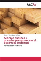 Camilo Polanco Lopez de Mesa - Alianzas públicas y privadas para promover el desarrollo sostenible