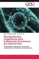 Mary Lu Mojica Pisciotti, Mary Luz Mojica Pisciotti, Roberto Zysler - Nanopartículas magnéticas para tratamiento de tumores por hipertermia