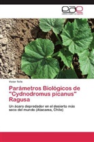 Victor Tello - Parámetros Biológicos de "Cydnodromus picanus" Ragusa