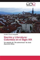 Carolina Cáceres Delgadillo - Nación y Literatura: Colombia en el Siglo XIX
