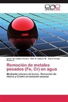 Israe Hernández Romero, Israel Hernández Romero, RIVERA, Karla Fabiola Rivera A., Ruth Salazar M, Ruth M Salazar M... - Remoción de metales pesados (Fe, Cr) en agua