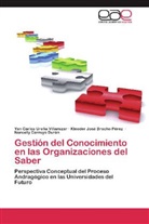 Kleeder Bracho Pérez, Kleeder José Bracho Pérez, Norcelly Carruyo Durán, Yan Carlo Ureña Villamizar, Yan Carlos Ureña Villamizar - Gestión del Conocimiento en las Organizaciones del Saber