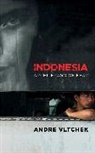 Andre Vltchek, Mondli Hlatshwayo - Indonesia