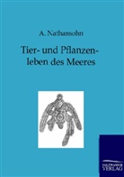 A Nathansohn, A. Nathansohn - Tier- und Pflanzenleben des Meeres