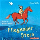 Ursula Wölfel, Walter Kreye - Fliegender Stern, 2 Audio-CD (Audio book)