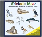 Karl-Hein Dingler, Karl-Heinz Dingler, Christian Fackelmann, Rita Lüder - Erlebnis Meer, 1 Audio-CD (Audio book)