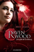 Mia James - Ravenwood - Gefangene der Dämmerung