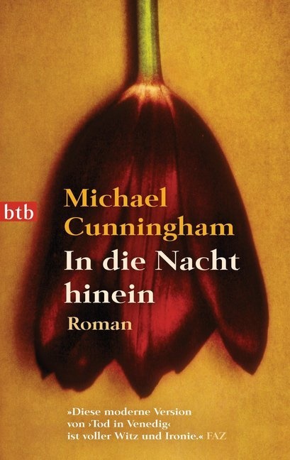 Michael Cunningham - In die Nacht hinein Roman
