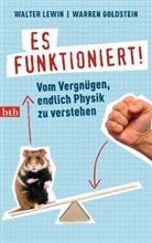 Goldstein, Warren Goldstein, LEWI, Walte Lewin, Walter Lewin - Es funktioniert!