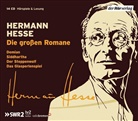 Hermann Hesse, Konstantin Graudus, Wolfgang Höper, Ingo Hülsmann, Dieter Mann, Ulrich Matthes... - Die großen Romane, 14 Audio-CDs (Audio book)
