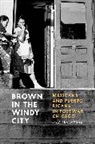 Lilia Fernandez, Fernandez Lilia - Brown in the Windy City