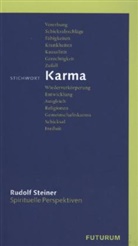 Rudolf Steiner, Hans Stauffer - Stichwort Karma