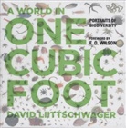 W. S. DiPiero, Alan Huffman, August Kleinzahler, David Liitschwager, David Liittschwager, David/ Wilson Liittschwager... - World in One Cubic Foot