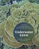 David Obura, David Stone Obura, Greg C. Obura Stone, Greg S. Obura Stone, Gregory S. Stone, Gregory S. (EDT)/ Obura Stone... - Underwater Eden