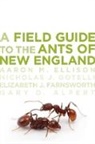 Gary D. Alpert, Alpert Gary D., Aaron M. Ellison, Aaron M. Gotelli Ellison, Aaron M./ Gotelli Ellison, ELLISON AARON M GOTELLI NICHOLA... - Field Guide to the Ants of New England