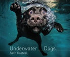 Seth Casteel - Underwater Dogs
