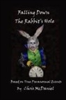 Chris McDaniel - Falling Down The Rabbit's Hole