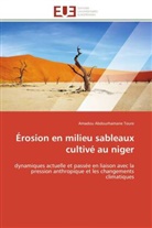 Amadou Abdourhamane Toure, Toure-a - Erosion en milieu sableaux