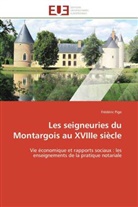 Frédéric Pige, Pige-f - Les seigneuries du montargois au