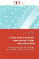 Dominiqu Ausserré, Dominique Ausserré, Sawsa Mohamad, Sawsan Mohamad, Olivier Noel, Olivier Noël - Effets de taille sur des