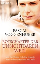 Pascal Voggenhuber - Botschafter der unsichtbaren Welt