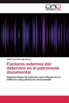 Sofia Flavia Borrego Alonso - Factores externos del deterioro en el patrimonio documental